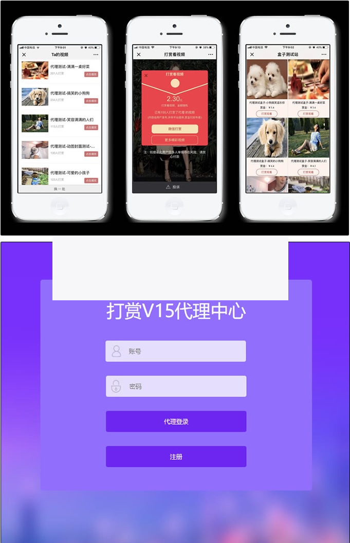 DS正版视频打赏系统V15+代理商功能+试看功能+多种免签支付接口+防封功能-万源库