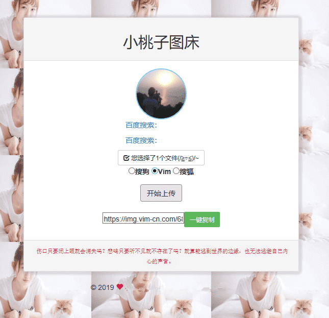 图片[1]-极简聚合图床程序源码 支持搜狗搜狐Vim图-万源库