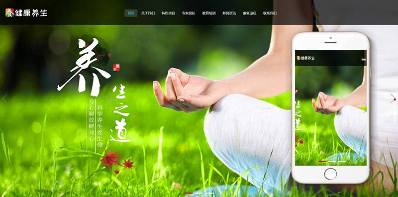 图片[2]-织梦响应式经络养生健康类网站织梦模板(自适应手机端)-万源库