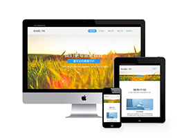 织梦响应式医疗机构类网站织梦模板(自适应移动端)-万源库