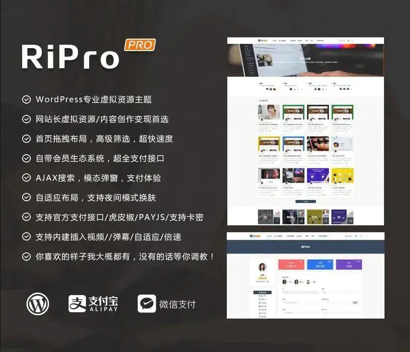 C225 wordpress主题_WordPress主题ripro8.7日主题去除授权版-万源库