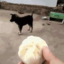 图片[4]-一元包邮是怎么赚钱的？平台上的这些特价真的有搞头吗？-ww-万源库