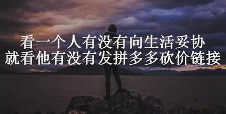 人人诟病的拼多多砍价 借刀赚钱有人利用它竟能月赚10万+-ww-万源库