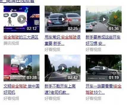 图片[2]-两个长久赚钱的细分领域 安全驾驶项目玩好了年入20万+-ww-万源库