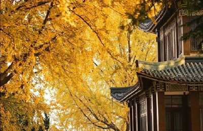 图片[1]-揭秘一个拼多多的商家赚钱套路 退款退货居然也可以赚钱-ww-万源库