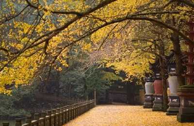 图片[2]-揭秘一个拼多多的商家赚钱套路 退款退货居然也可以赚钱-ww-万源库