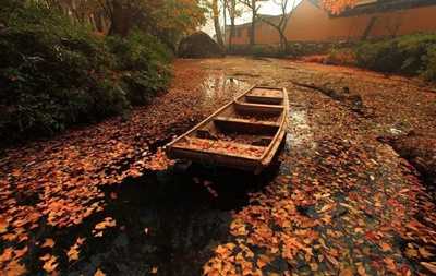 图片[3]-揭秘一个拼多多的商家赚钱套路 退款退货居然也可以赚钱-ww-万源库