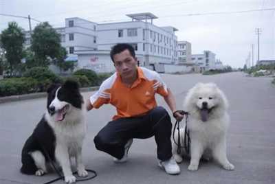 图片[8]-上班工资3千下班副业1万 这4种时间自由的副业了解一下-ww-万源库