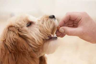 图片[9]-上班工资3千下班副业1万 这4种时间自由的副业了解一下-ww-万源库