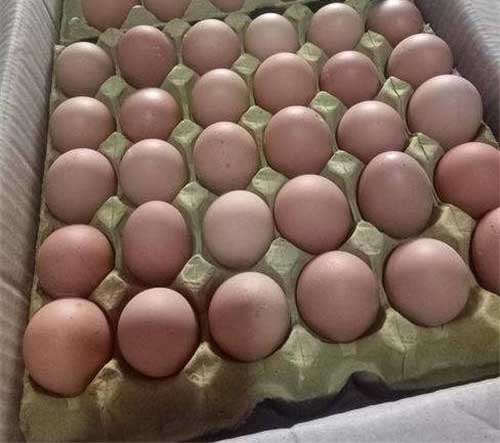 图片[3]-一次错误的项目经历引出月入2万的新项目-ww-万源库