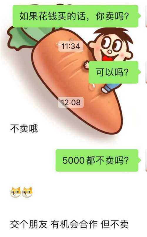 图片[11]-网络创业经验谈：读大学期间我靠运营自媒体养活了自己-ww-万源库