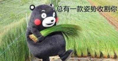 图片[3]-在网上被坑蒙拐骗过吗？韭菜骗局项目专门收割这几类人-ww-万源库