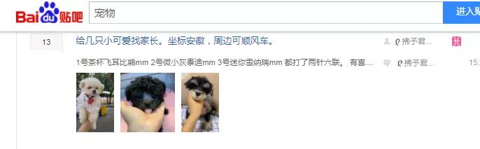 图片[4]-如何打造宠物行业细分领域的暴利项目！-ww-万源库