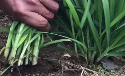 图片[2]-想在互联网上做副业兼职赚钱 先要学会做一个合格的韭菜-ww-万源库