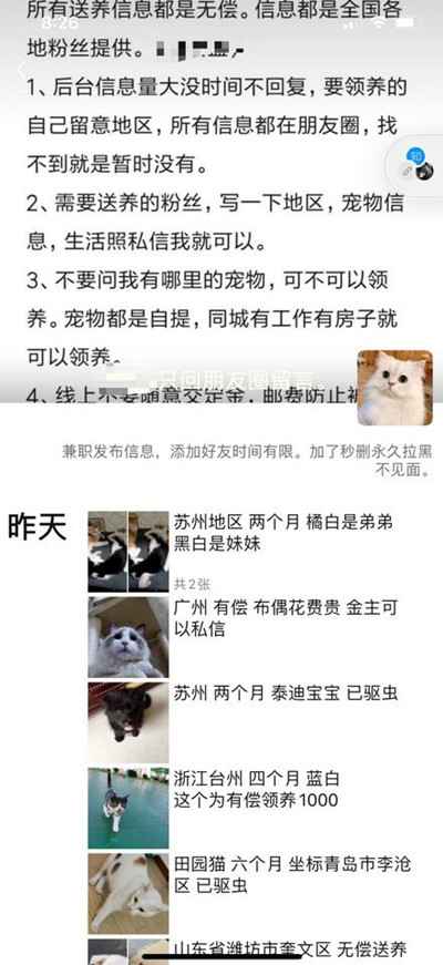 图片[6]-切入宠物市场吃一口暴利蛋糕 小众领域有人轻松年入百万+-ww-万源库