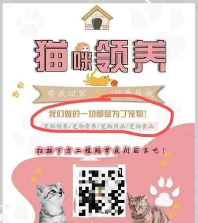 图片[7]-切入宠物市场吃一口暴利蛋糕 小众领域有人轻松年入百万+-ww-万源库