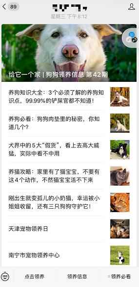 图片[5]-切入宠物市场吃一口暴利蛋糕 小众领域有人轻松年入百万+-ww-万源库