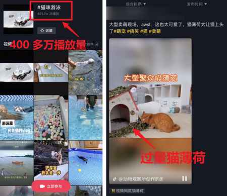 图片[7]-吃播大胃王凉了 为蹭热度不择手段的大胃王宠物还在捞钱-ww-万源库