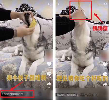 图片[5]-吃播大胃王凉了 为蹭热度不择手段的大胃王宠物还在捞钱-ww-万源库