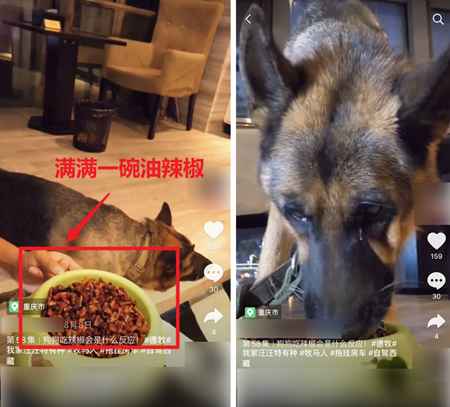 图片[6]-吃播大胃王凉了 为蹭热度不择手段的大胃王宠物还在捞钱-ww-万源库