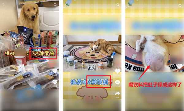 图片[1]-吃播大胃王凉了 为蹭热度不择手段的大胃王宠物还在捞钱-ww-万源库