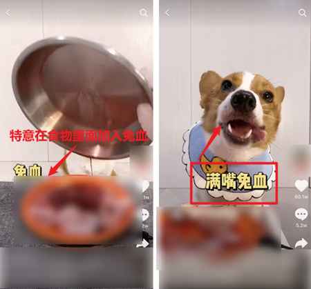 图片[4]-吃播大胃王凉了 为蹭热度不择手段的大胃王宠物还在捞钱-ww-万源库