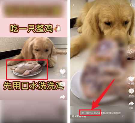 图片[3]-吃播大胃王凉了 为蹭热度不择手段的大胃王宠物还在捞钱-ww-万源库