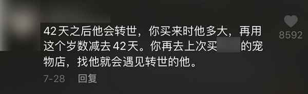 图片[11]-吃播大胃王凉了 为蹭热度不择手段的大胃王宠物还在捞钱-ww-万源库