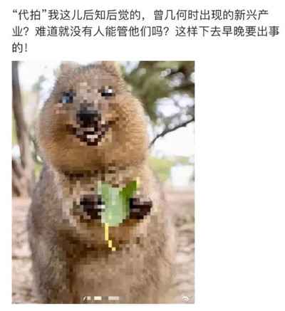 图片[1]-揭秘上热搜第一的代拍产业链 暴利灰产一单利润破千元-ww-万源库