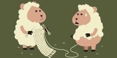 图片[1]-玩薅羊毛能赚多少钱？靠撸羊毛年入百万级别的大有人在-ww-万源库