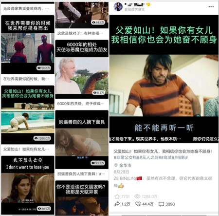 图片[3]-从日收入几百元到几十万元 这些人正在用视频号悄悄赚钱-ww-万源库