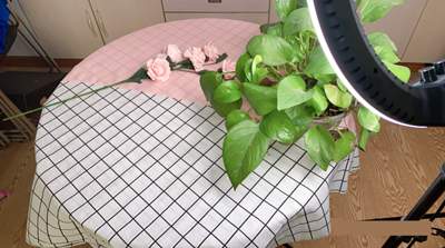 图片[7]-真人出镜原创视频玩法与技巧 更易热门更快引流更稳变现-ww-万源库