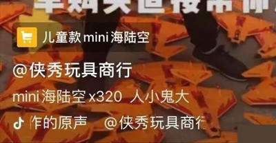 图片[2]-深度解析抖音淘宝客简单玩法 适合草根无门槛的创业项目-ww-万源库