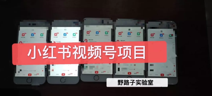 小红书直接上手操作就能赚钱的视频号项目 可长久操作-万源库