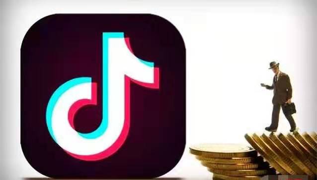 抖音虚拟资源赚钱项目：个人操作基本每天纯利300左右-万源库