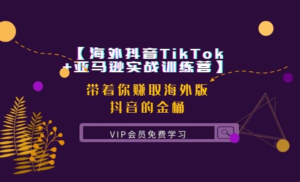 【海外抖音TikTok+亚马逊实战训练营】带着你赚取海外版抖音的金桶-万源库