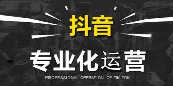 微妙哥抖音影视号2.0版，一部手机轻松月入过万-万源库