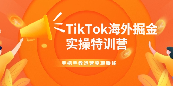 TikTok海外掘金实操特训营：手把手教运营变现赚钱-万源库