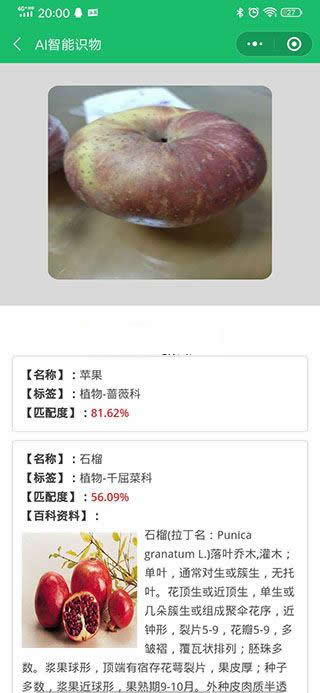 图片[2]-AI智能识物小程序 v1.2.1-万源库