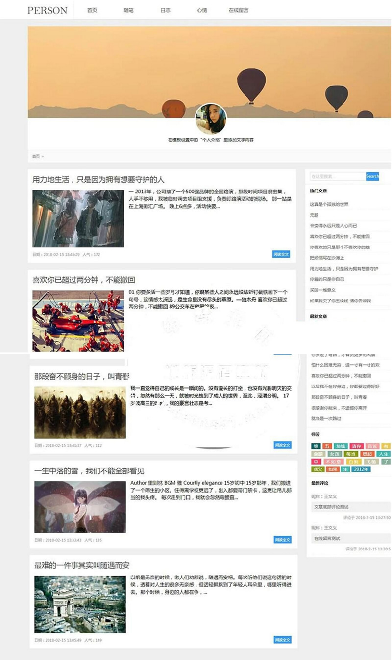 (带手机移动端)简洁PERSON个人博客新闻资讯网站源码 织梦dedecms模板-万源库