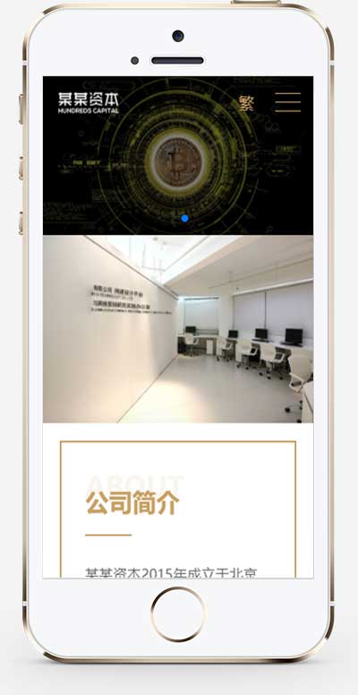 图片[2]-(自适应手机端)简繁双语响应式HTML5通用金融资本咨询网站单页pbootcms模板-万源库