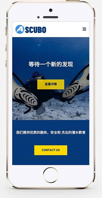 图片[2]-响应式水上运动设备潜水服务公司网站源码 织梦dedecms模板 自适应手机端-万源库