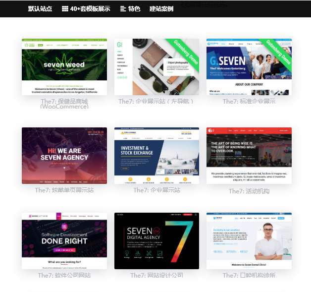 图片[1]-wordpress主题The7_ v9.40可视化建站最新汉化版带秘钥-万源库