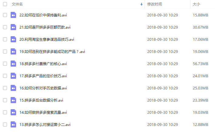拼多多运营学习讲座火爆运营开店教程（共22课）-万源库
