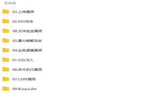 Web网络安全全面系统深度剖析视频教程-万源库
