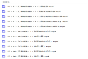 大数据之电商数据仓库开发项目实战视频教程-万源库