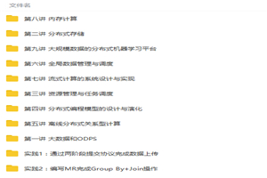 大数据核心技术全掌握视频教程-万源库