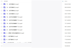 2018淘宝天猫运营推广培训 第九期课程新手开店到高手（无水印）价值4500-万源库