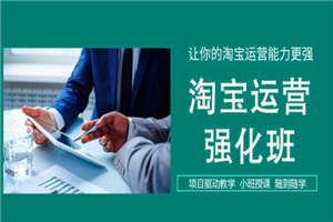 淘宝运营VIP课程合集 视频教程-万源库