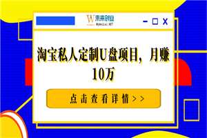 淘宝私人定制U盘项目，月赚10万-万源库